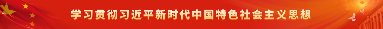 学习贯彻习近平新时代中国特色社会主义思想